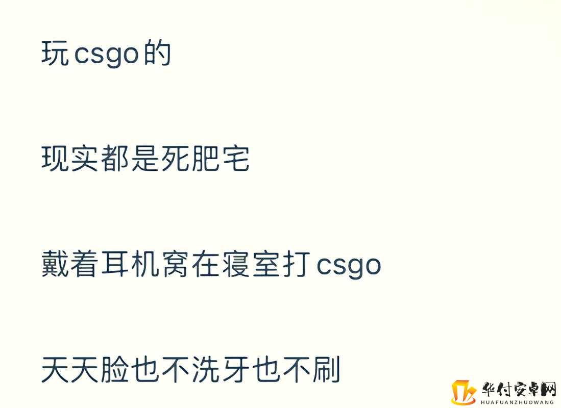 暴躁老阿姨 CSGO 最新集-精彩内容不容错过