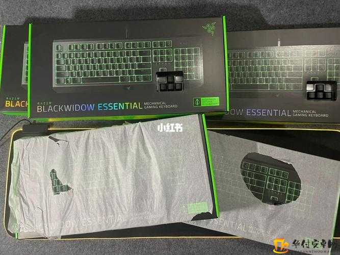 黑寡妇 ESSENTIAL 产品介绍：高效能、便携、智能的工具